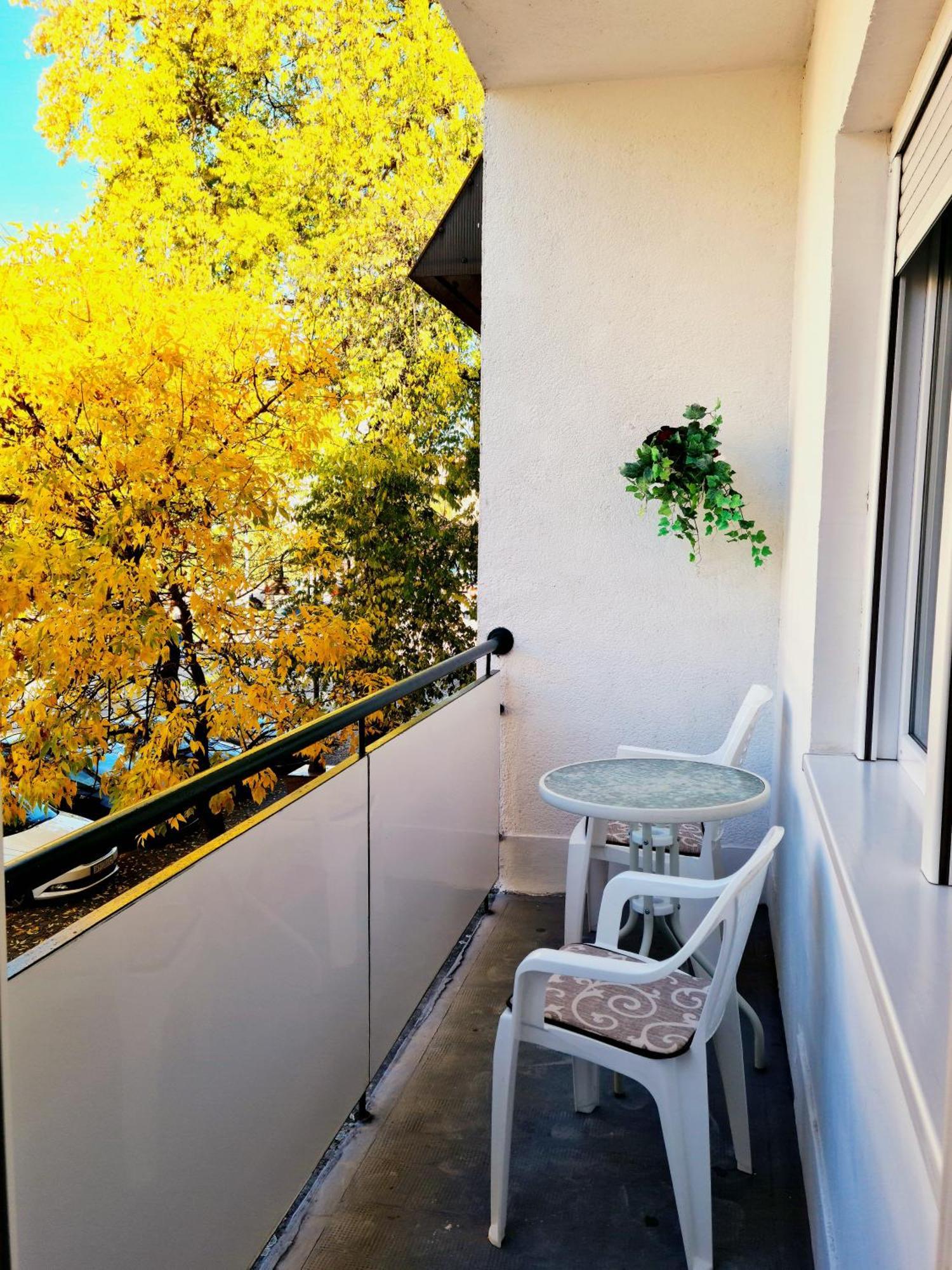 Ferienwohnung Citys Apatin Exterior foto